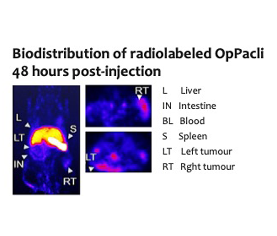 Biodistribution of radiolabeled OpPacli