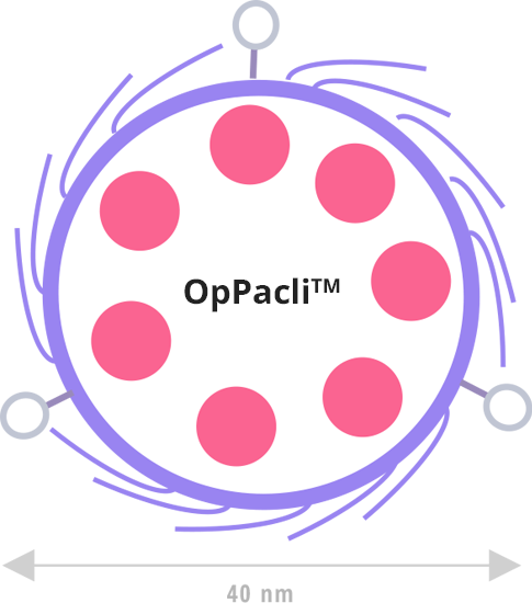 OpPacli(TM) Nanoparticle