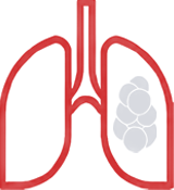 Lungs